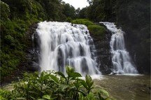 Splendid Abbey Falls in Coorg Splendid Abbey Falls in Coorg